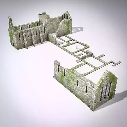 Grey Abbey - ruined church