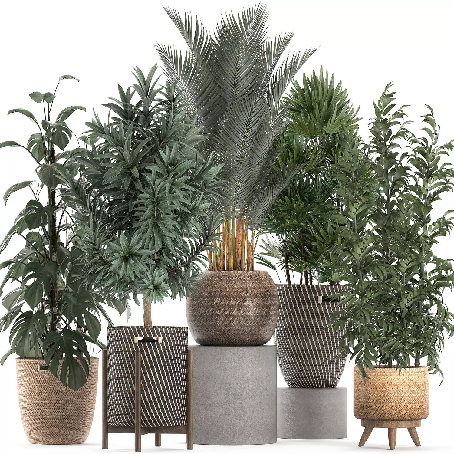 Plants in baskets for the interior 632 3D model