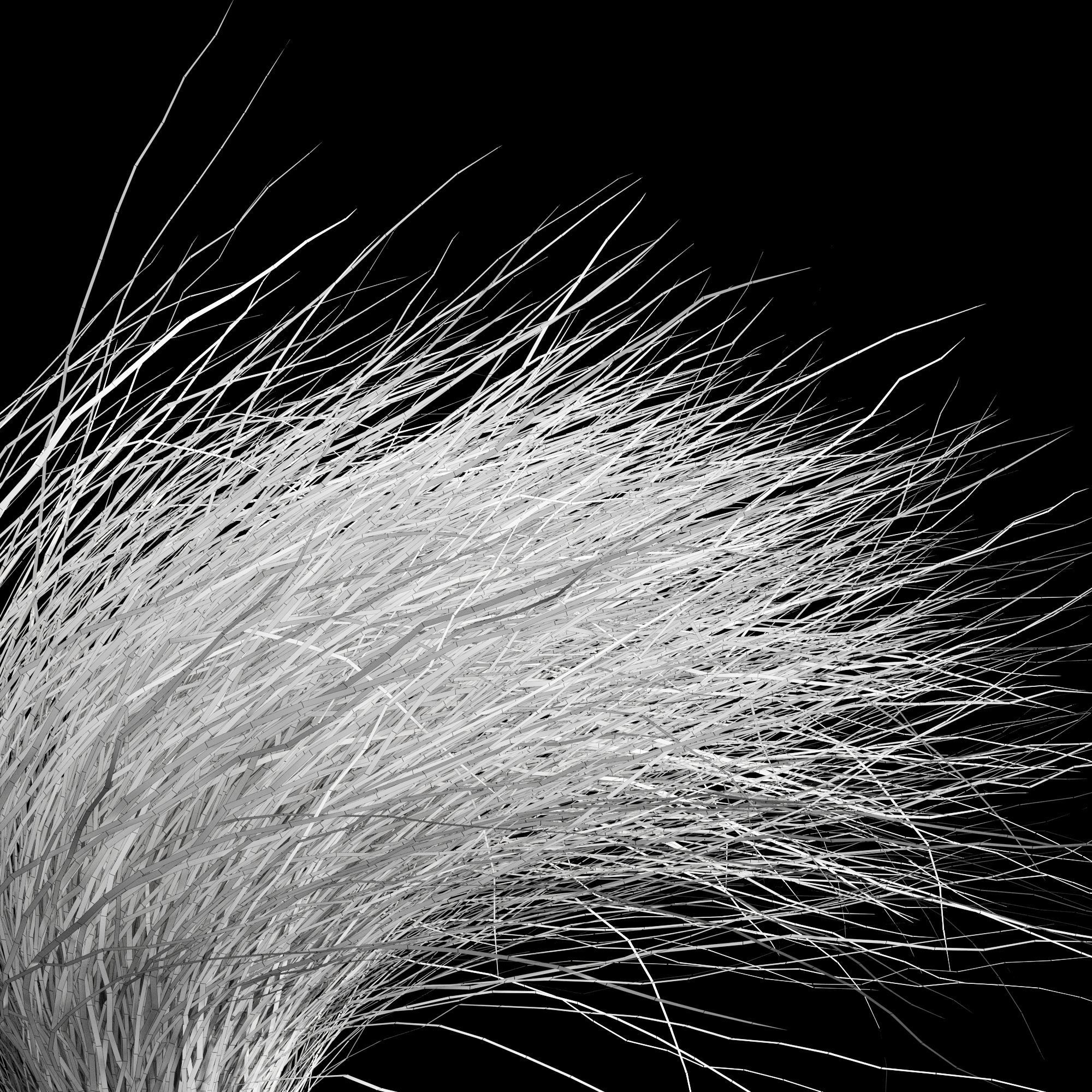 Wild Dry Grass Bent By The Wind 3D model_7