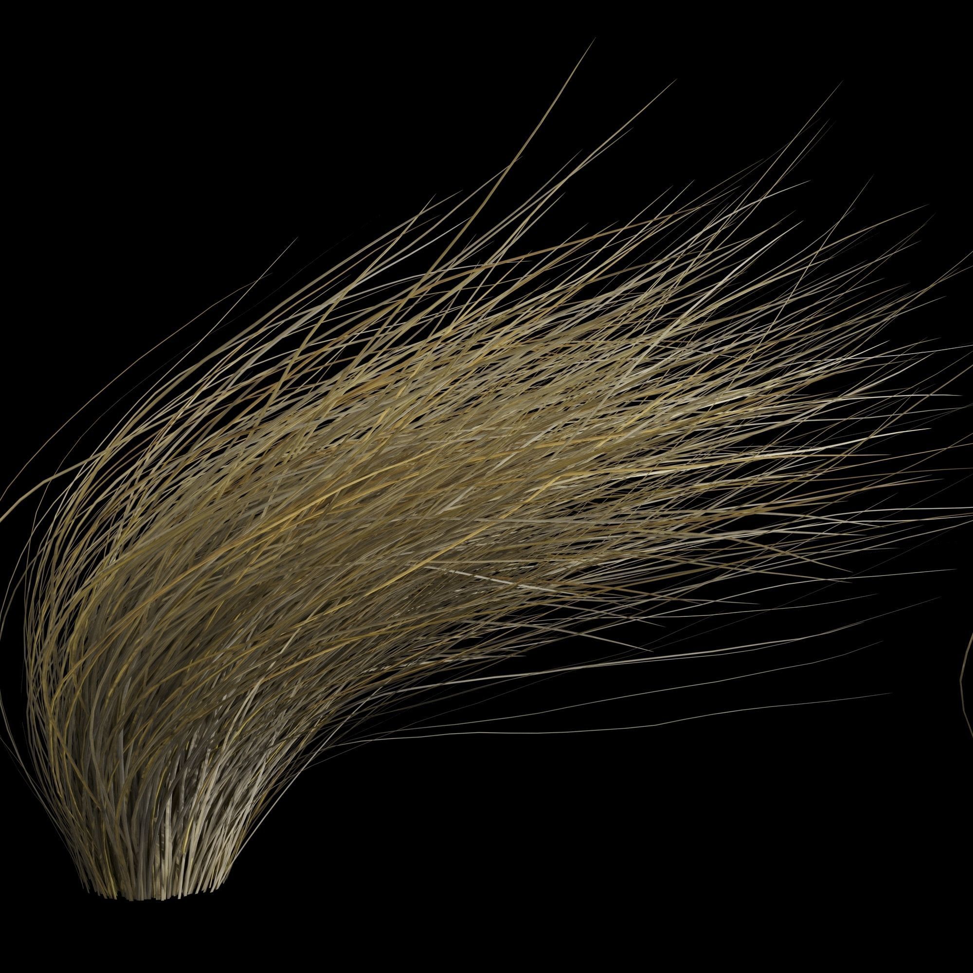Wild Dry Grass Bent By The Wind 3D model_3