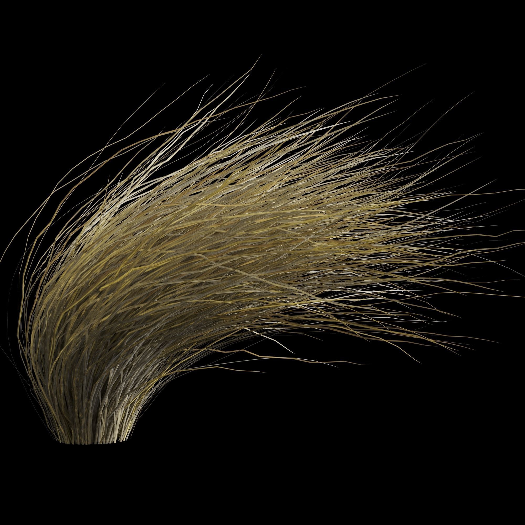 Wild Dry Grass Bent By The Wind 3D model_2