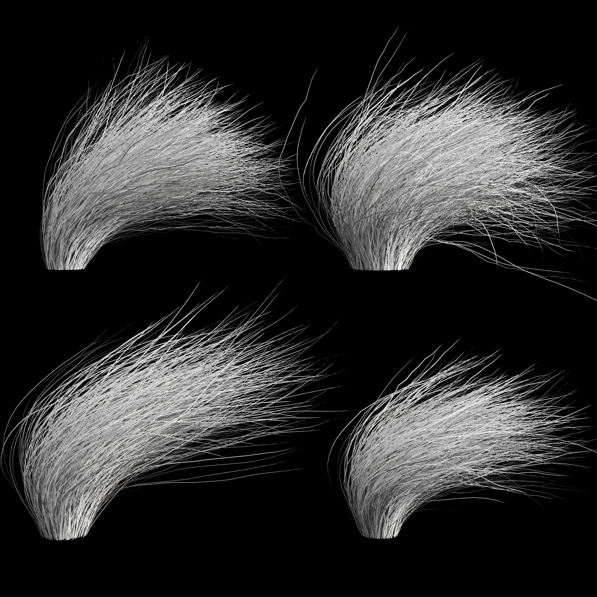 Wild Dry Grass Bent By The Wind 3D model_6