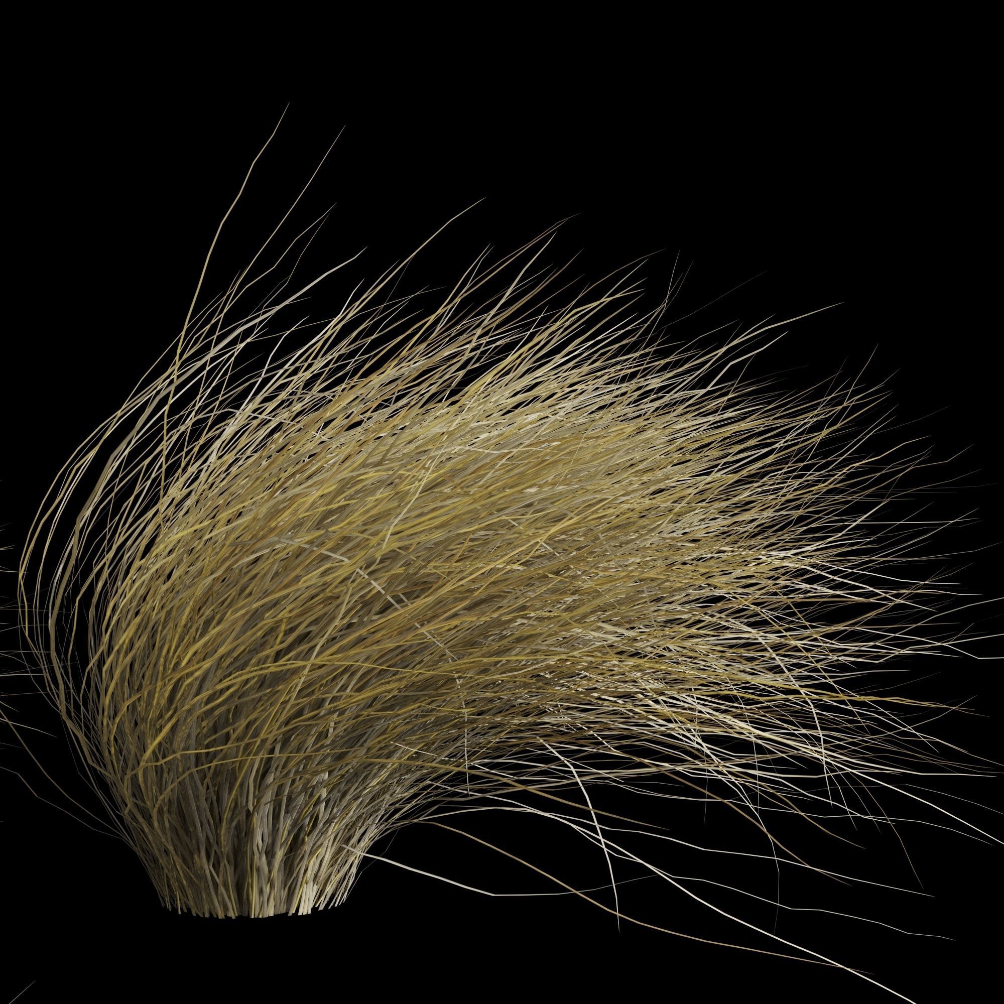 Wild Dry Grass Bent By The Wind 3D model_5