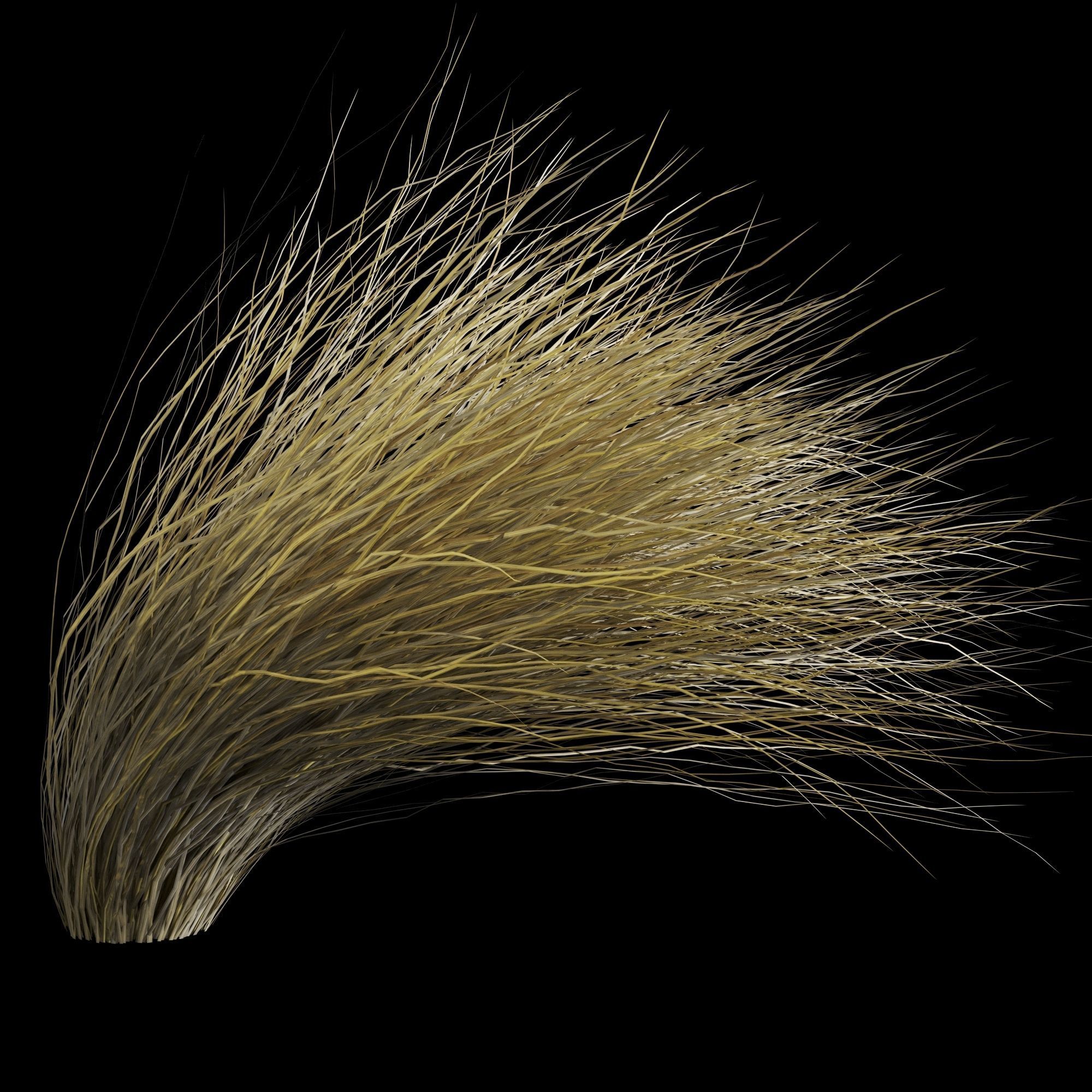 Wild Dry Grass Bent By The Wind 3D model_4