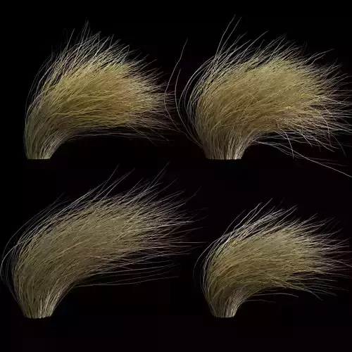 Wild Dry Grass Bent By The Wind