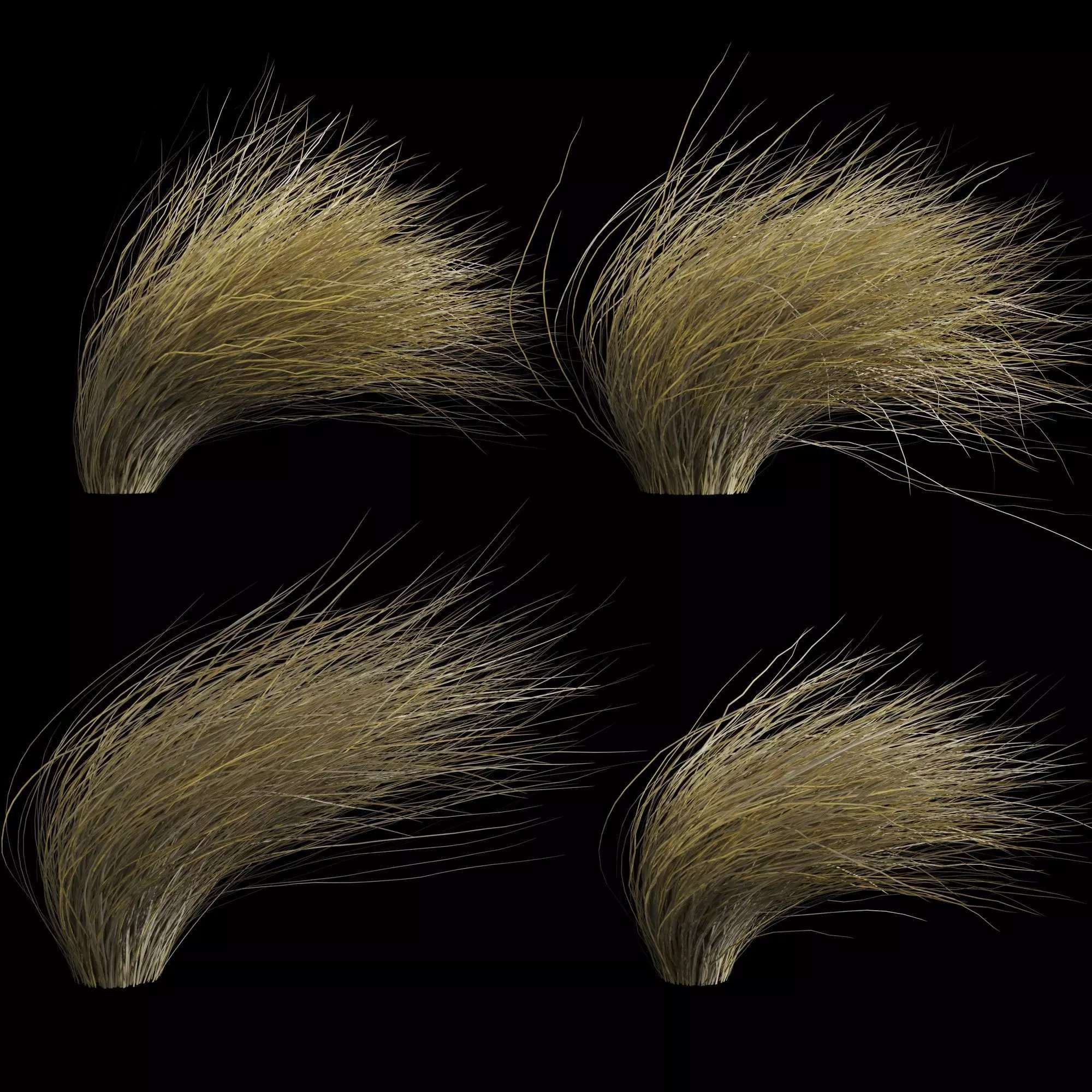 Wild Dry Grass Bent By The Wind 3D model_0