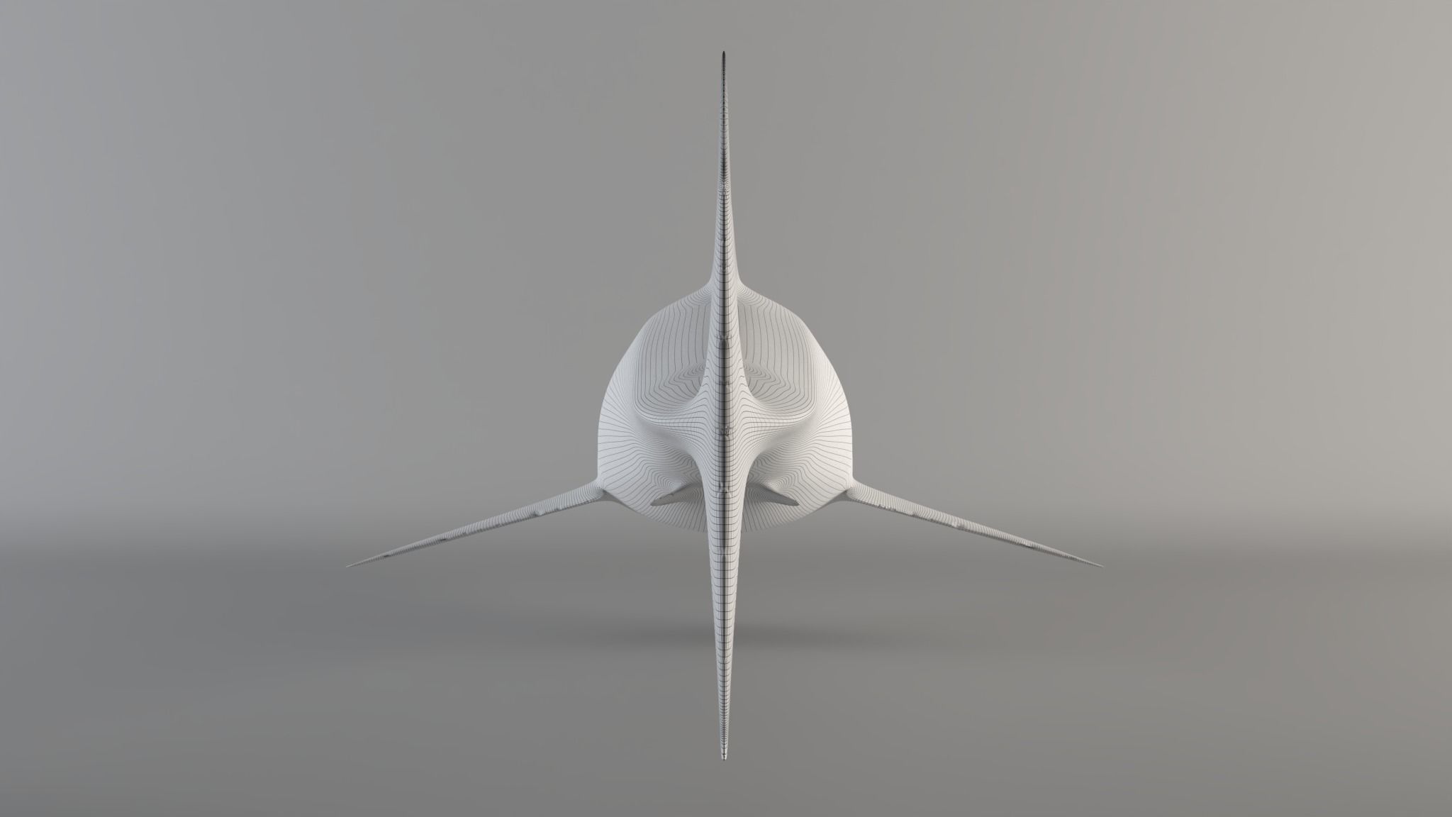 Great white shark - Carcharodon carcharias 3D model_10