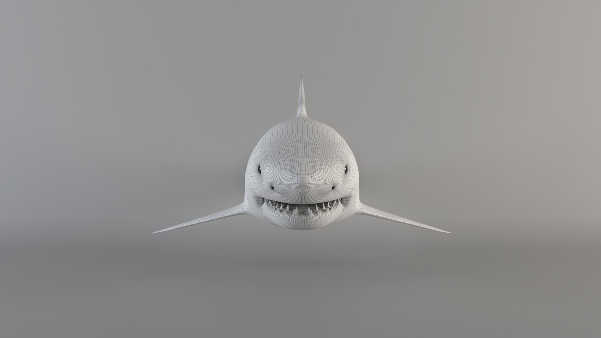 Great white shark - Carcharodon carcharias 3D model_6