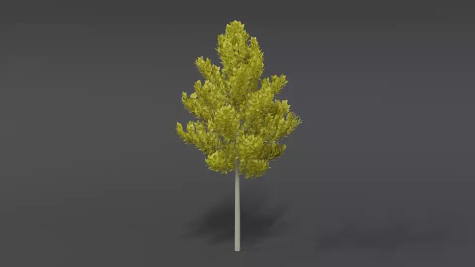 Cartoon Style Tree 3D model
