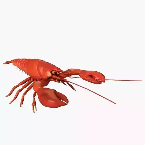 Lobster Free low-poly 3D model