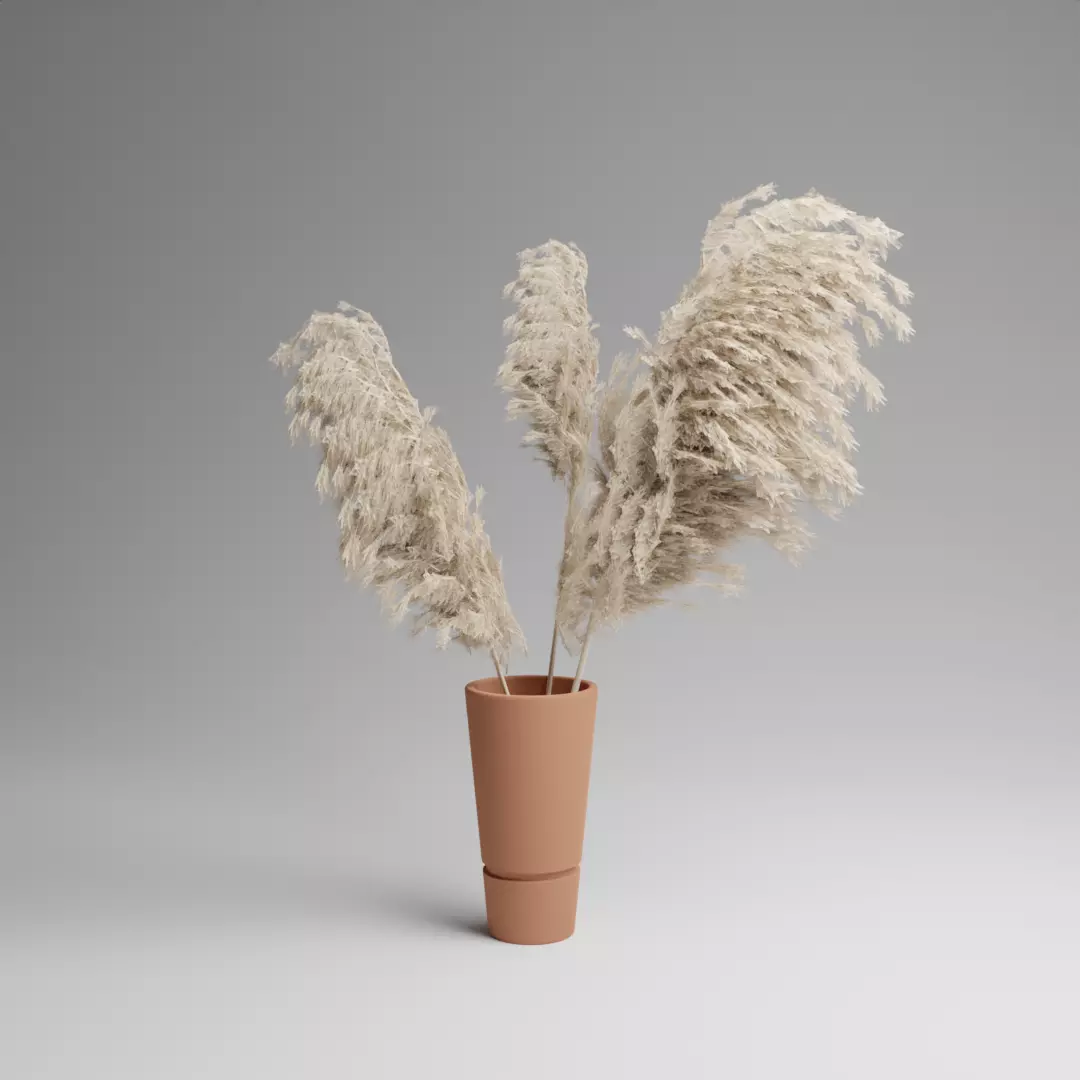 Pampas Grass Plant In Vase 3D model