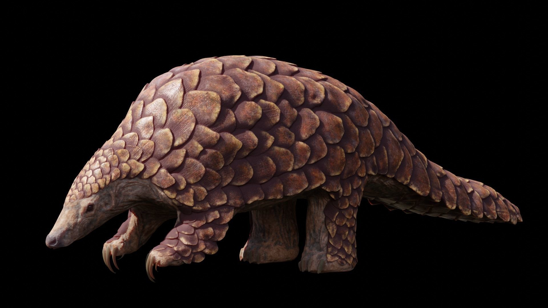 Pangolin Rigged Low-poly 3D model_2