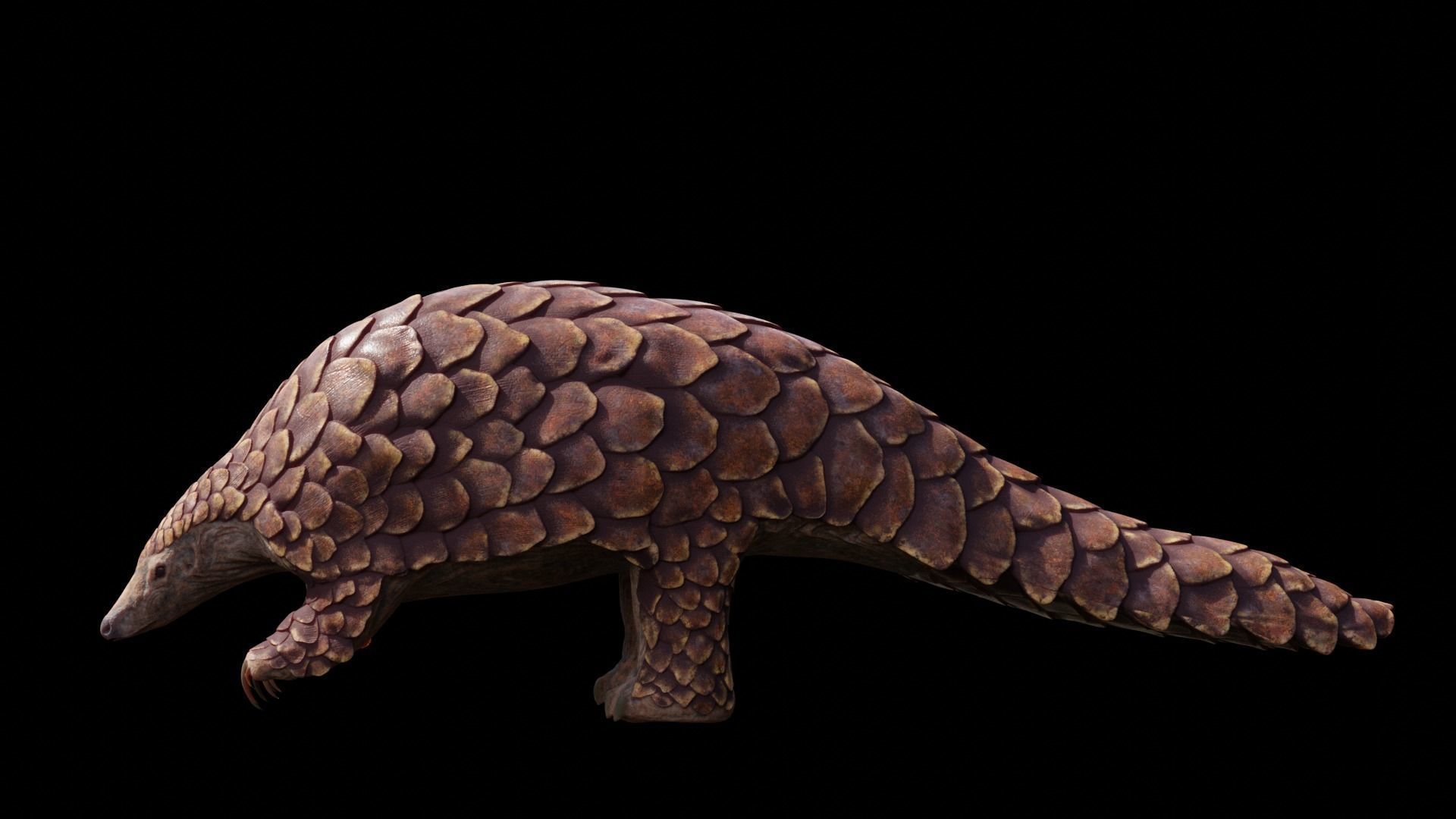 Pangolin Rigged Low-poly 3D model_1