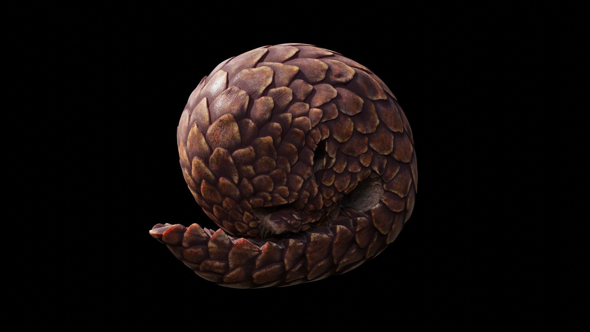 Pangolin Rigged Low-poly 3D model_5