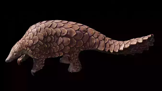 Pangolin Rigged