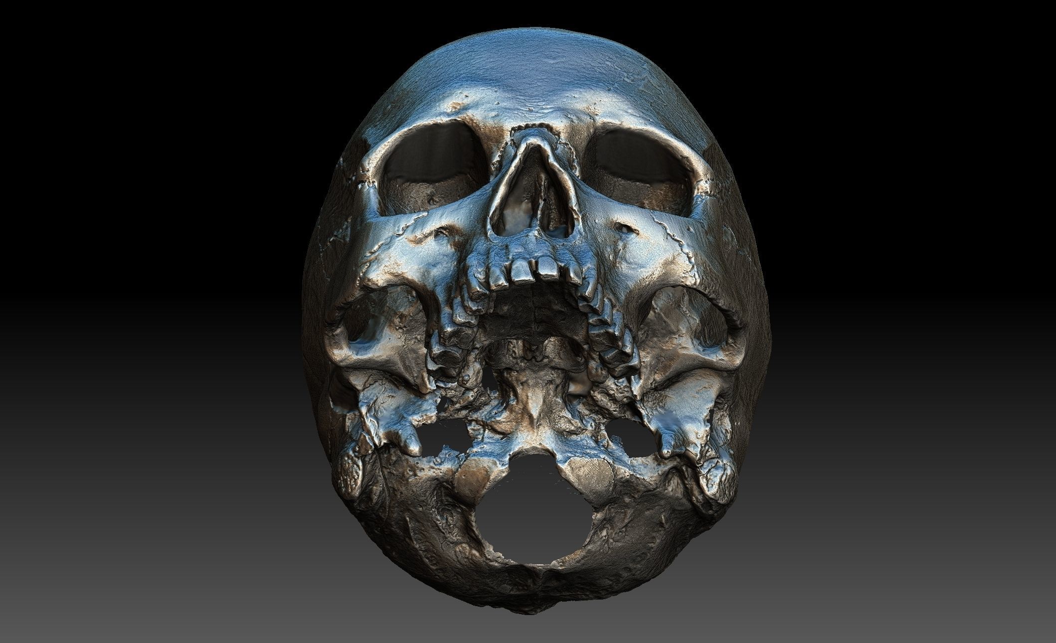 Human Skull and Jaw 3D model_7