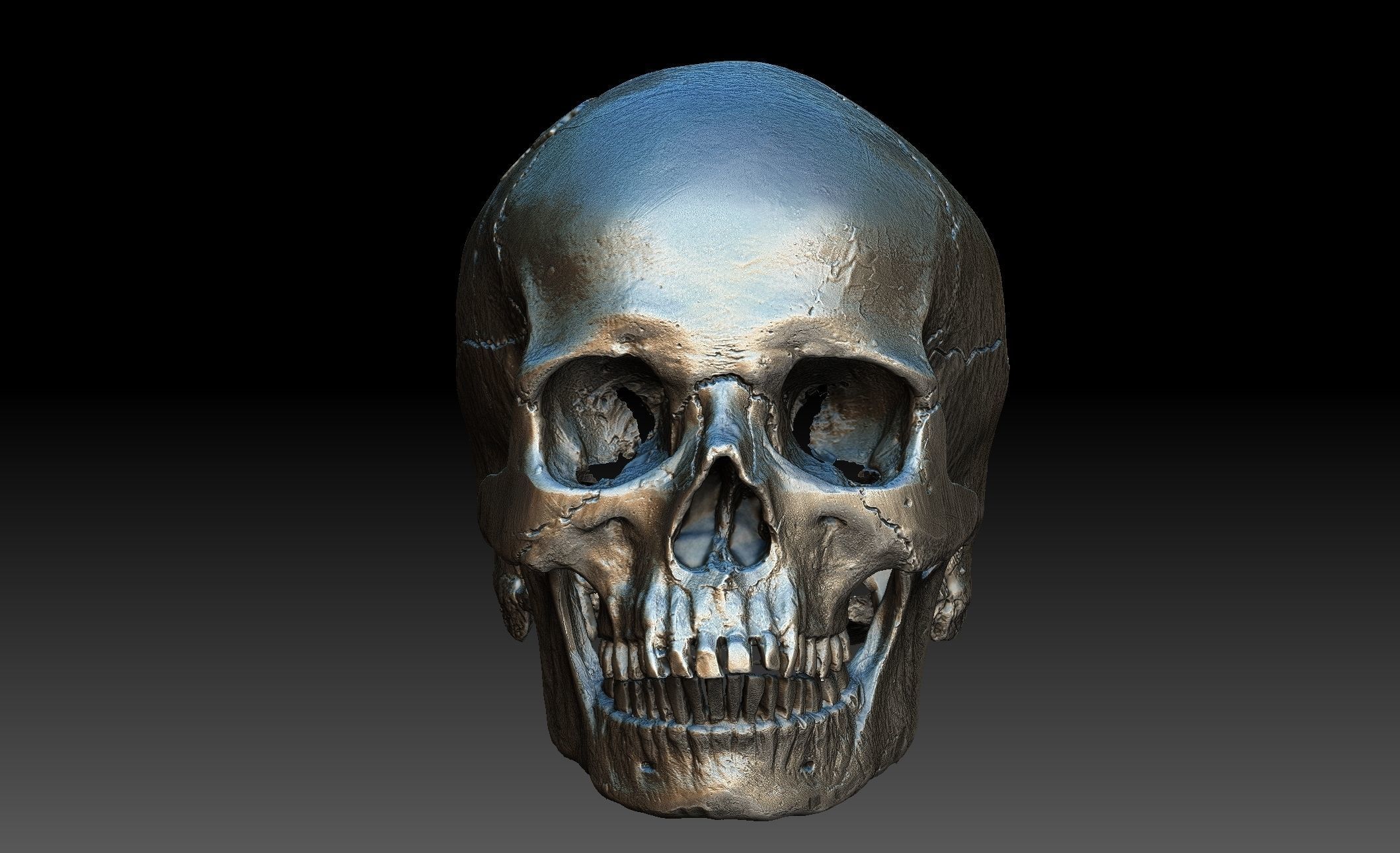 Human Skull and Jaw 3D model_1
