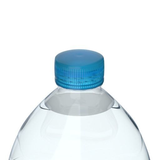Natural water bottle half liter 3D model_1