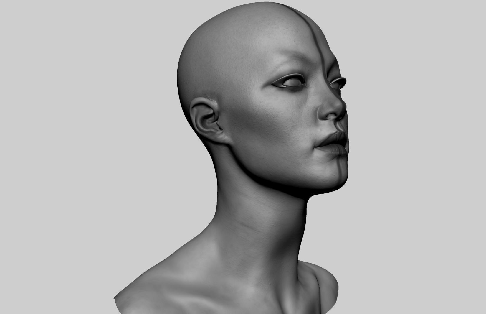 Female Head v7 3D model_1