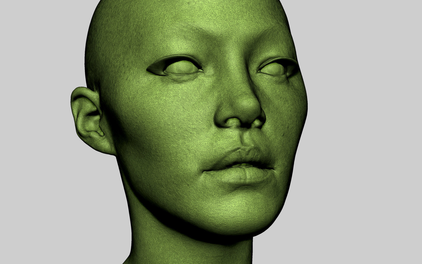Female Head v7 3D model_11