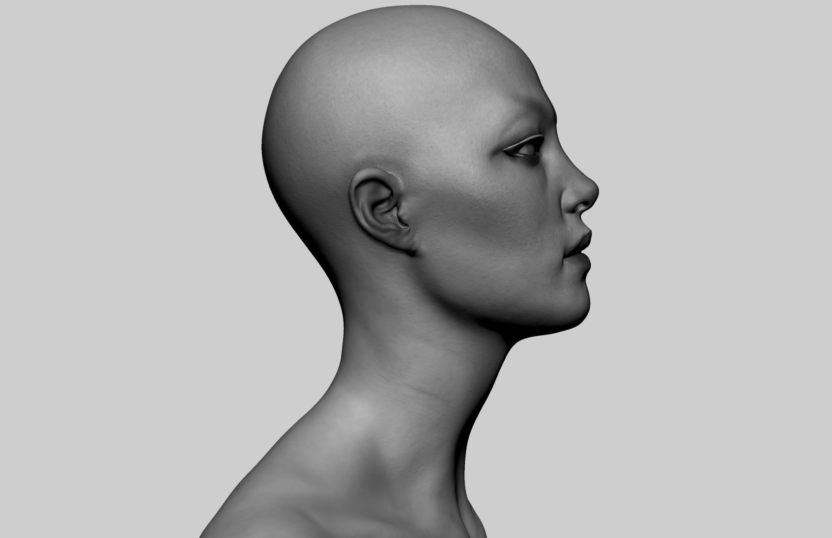 Female Head v7 3D model_2