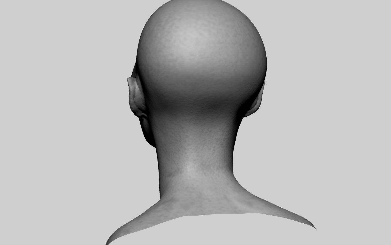 Female Head v8 3D model_3