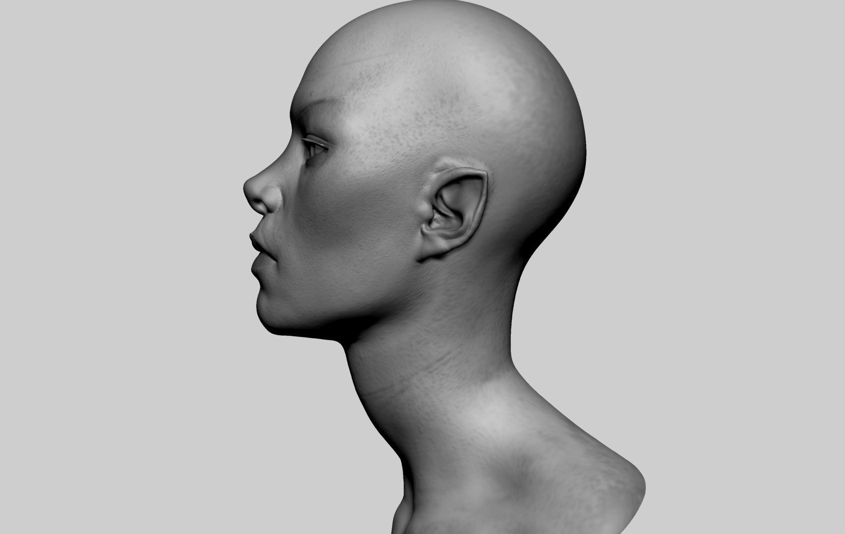 Female Head v8 3D model_4