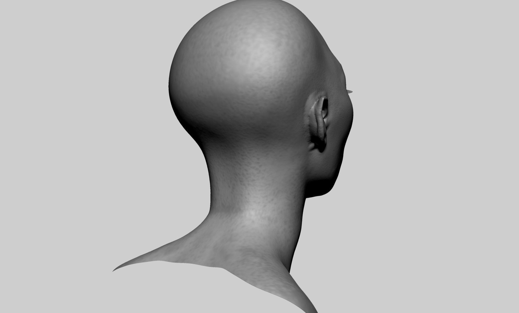 Female Head v8 3D model_2