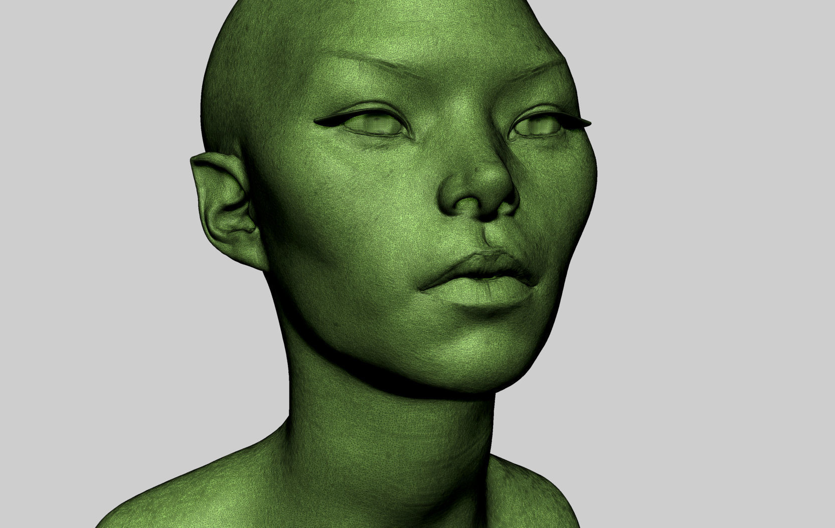 Female Head v8 3D model_11