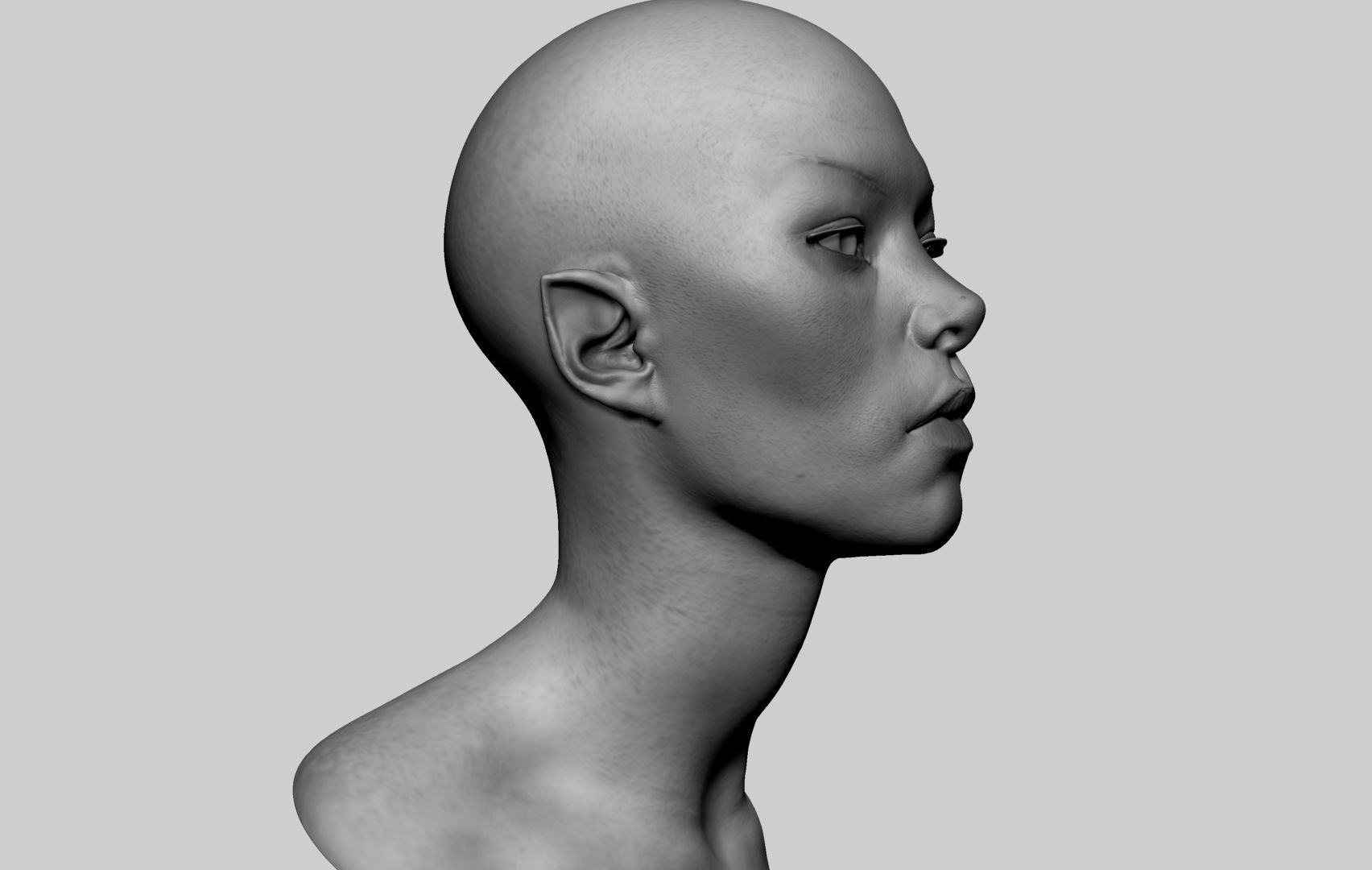 Female Head v8 3D model_1