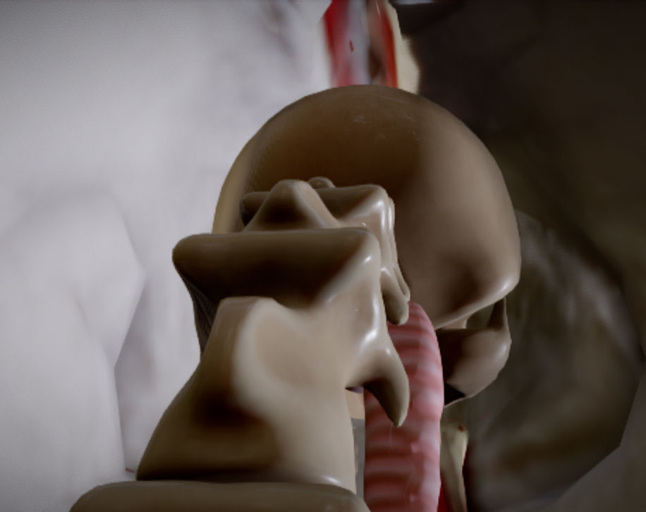 Chicken Anatomy Low-poly 3D model_24