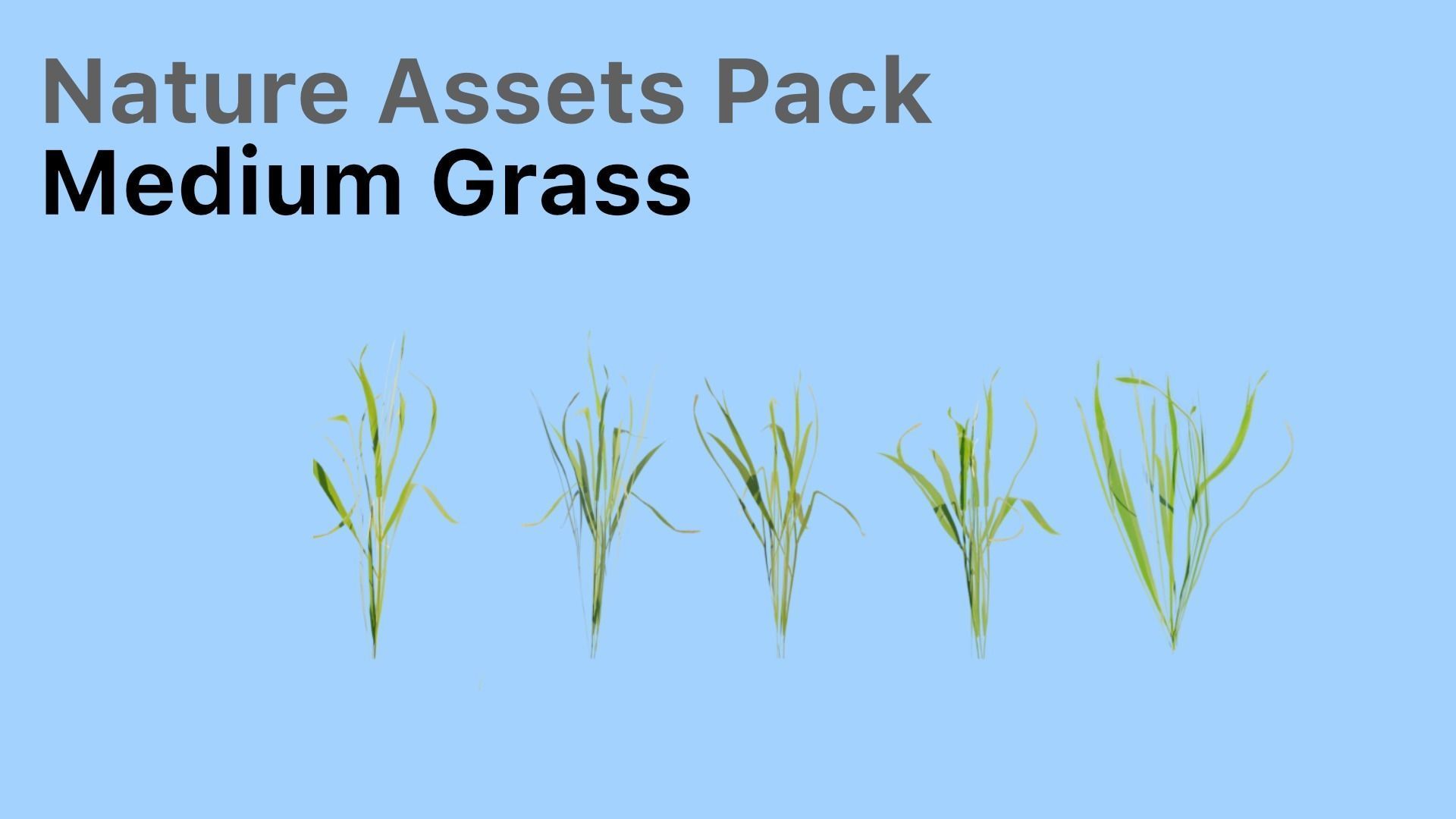 Realistic Nature Assets Pack  Low-poly 3D model_3