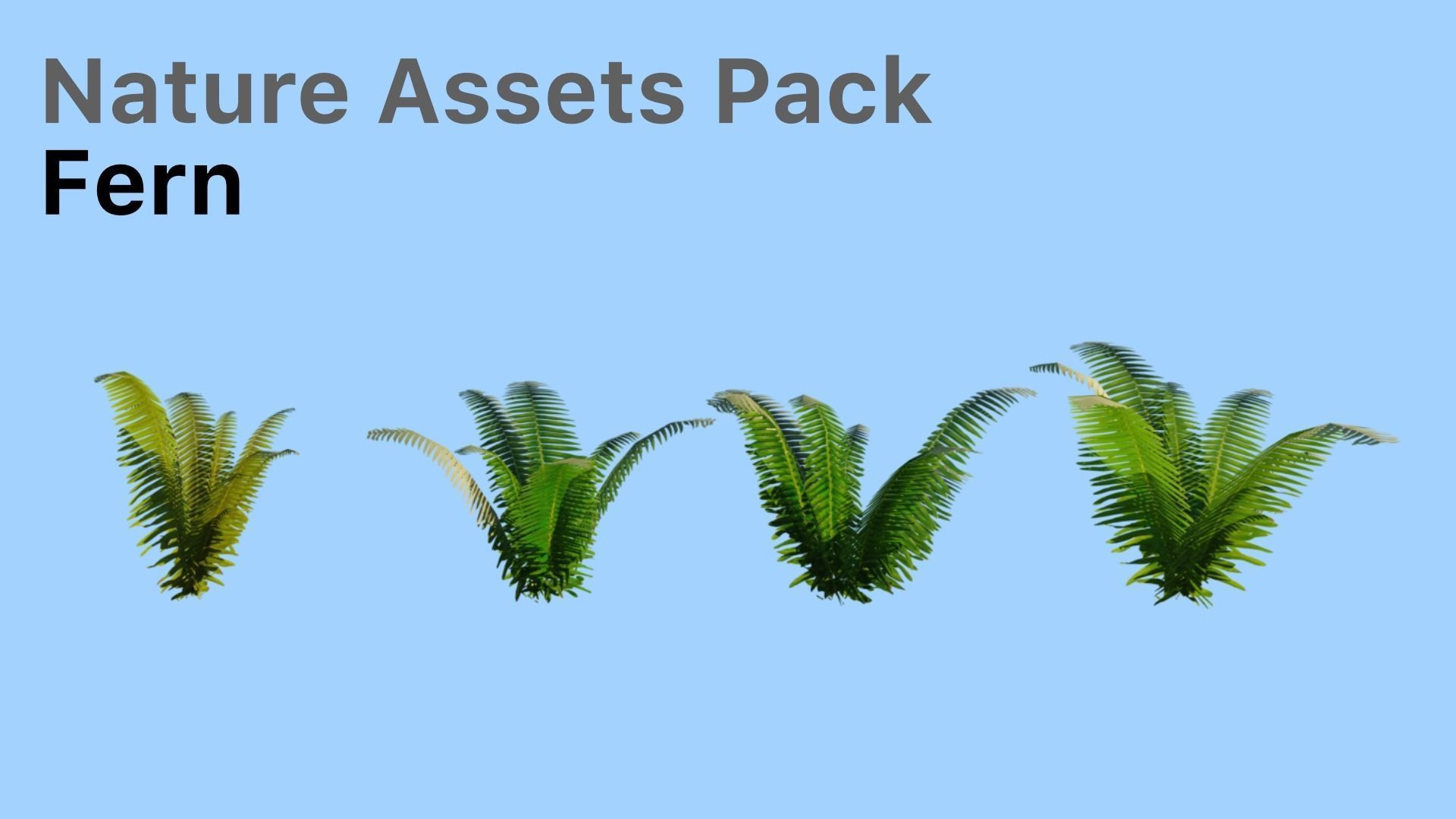 Realistic Nature Assets Pack  Low-poly 3D model_1