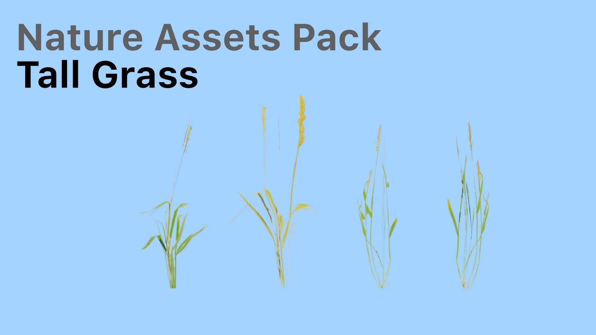 Realistic Nature Assets Pack  Low-poly 3D model_2