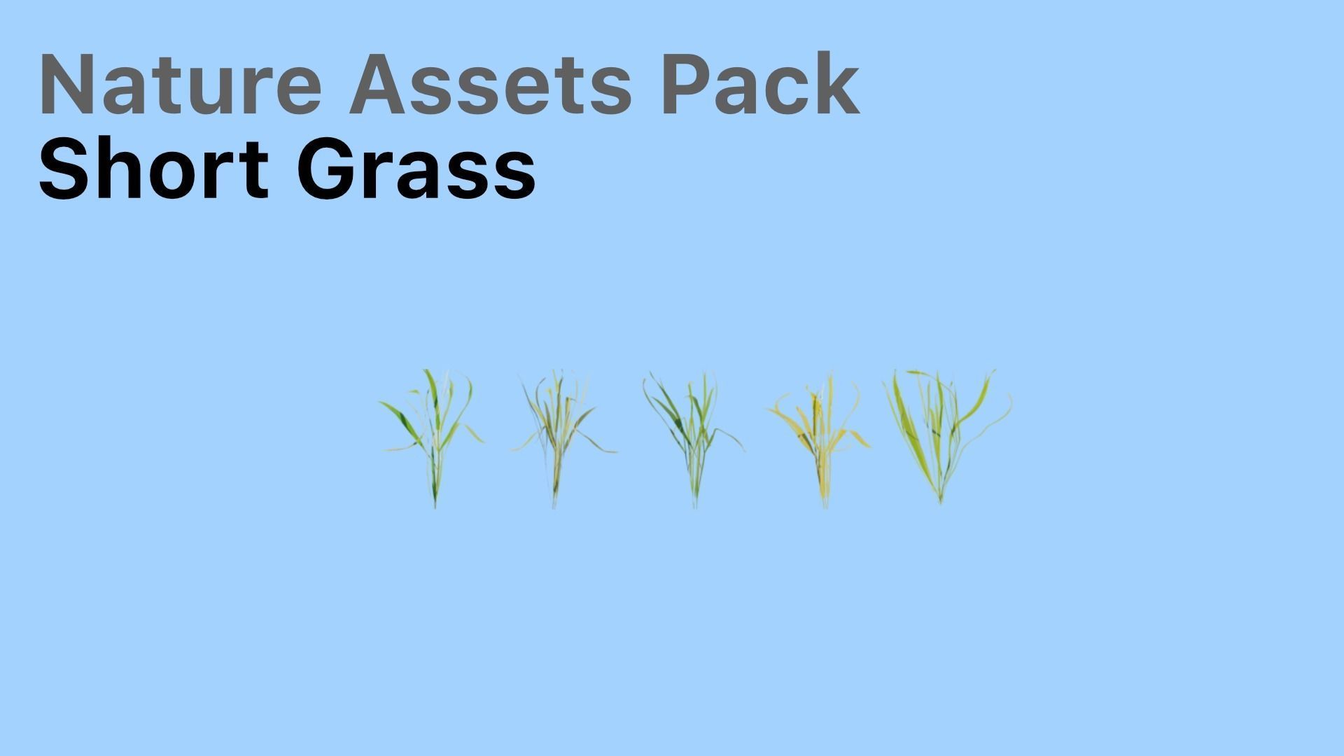 Realistic Nature Assets Pack  Low-poly 3D model_4