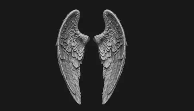 Wings Printable 6 3D print model