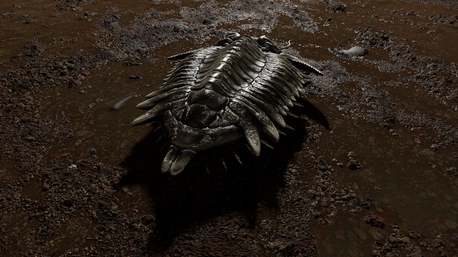 Trilobite 01 - Metopolichas Low-poly 3D model_6