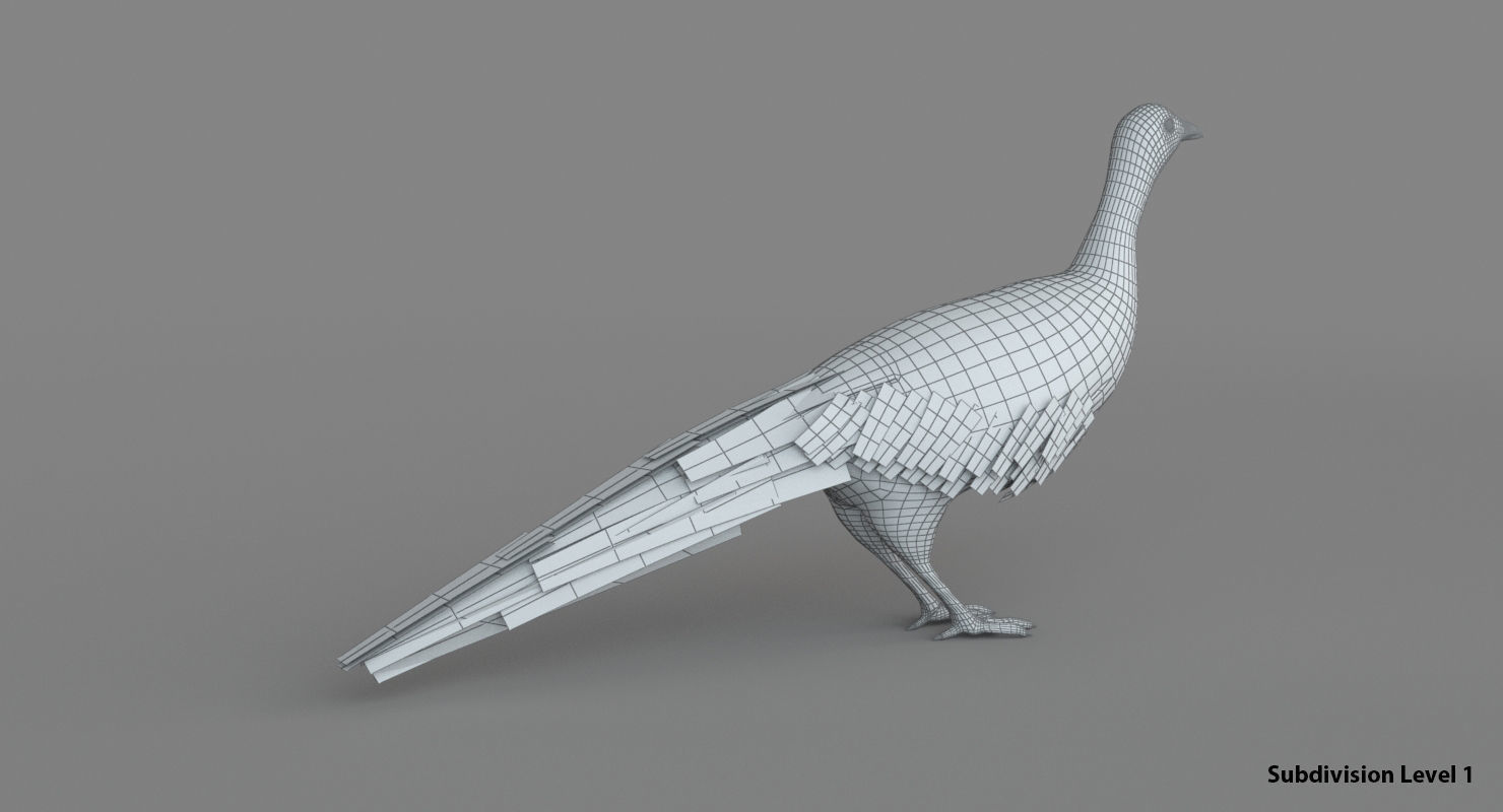 Pheasant 3D 3D model_10