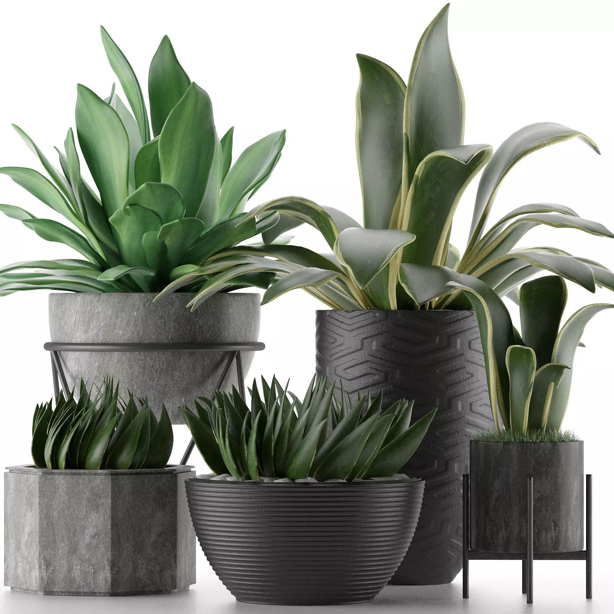 Plants Collection 15 3D model
