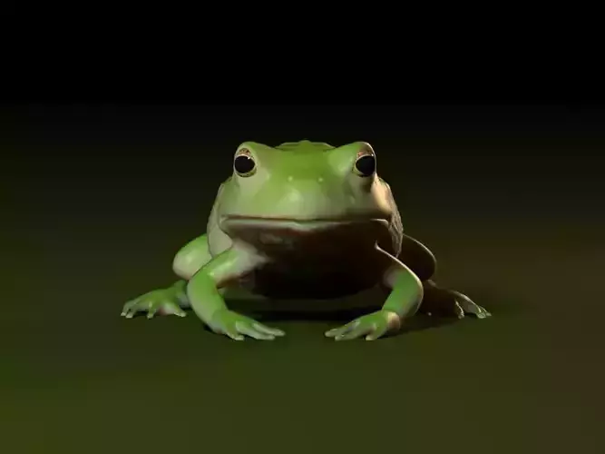 Frog 001