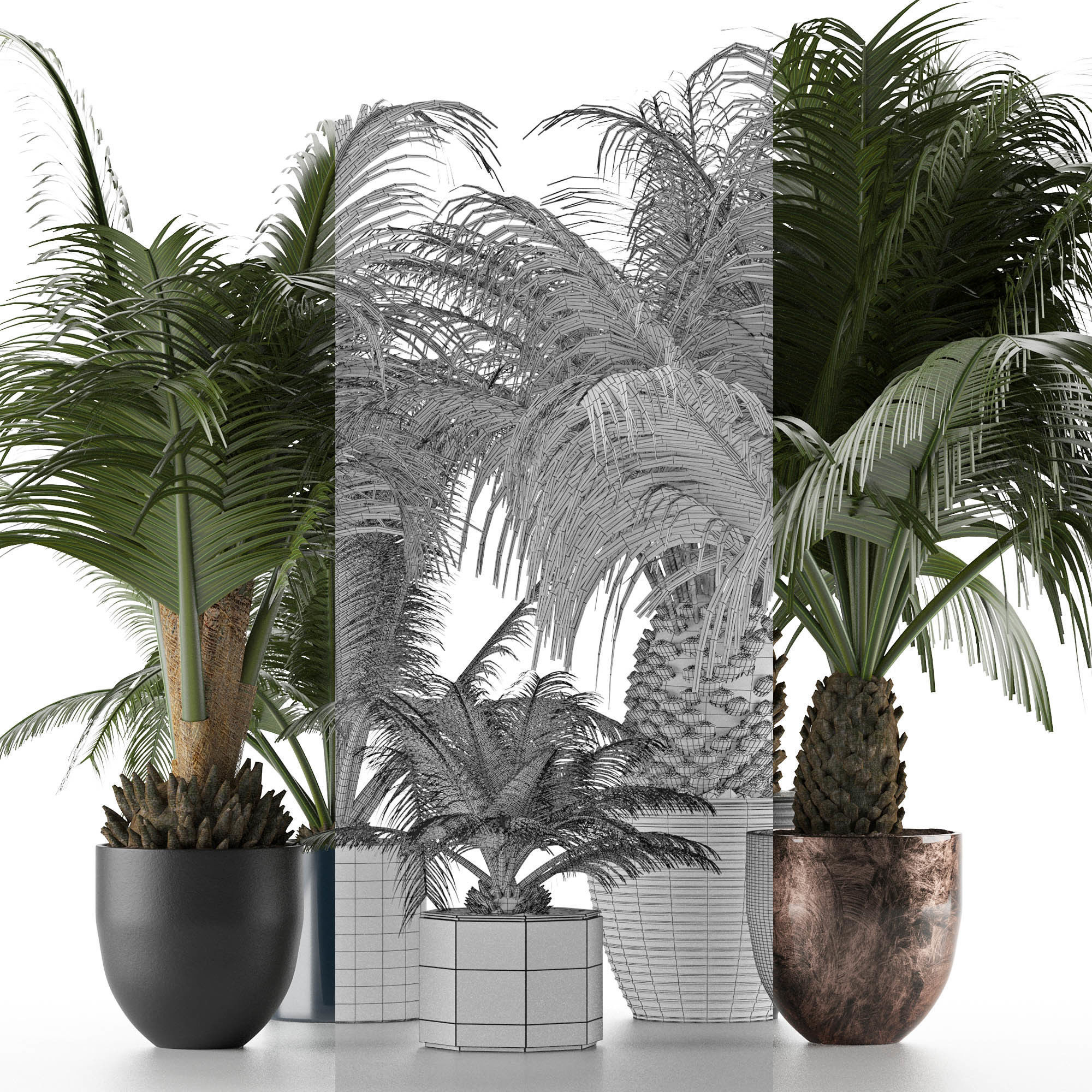 Plants Collection 16 3D model_7