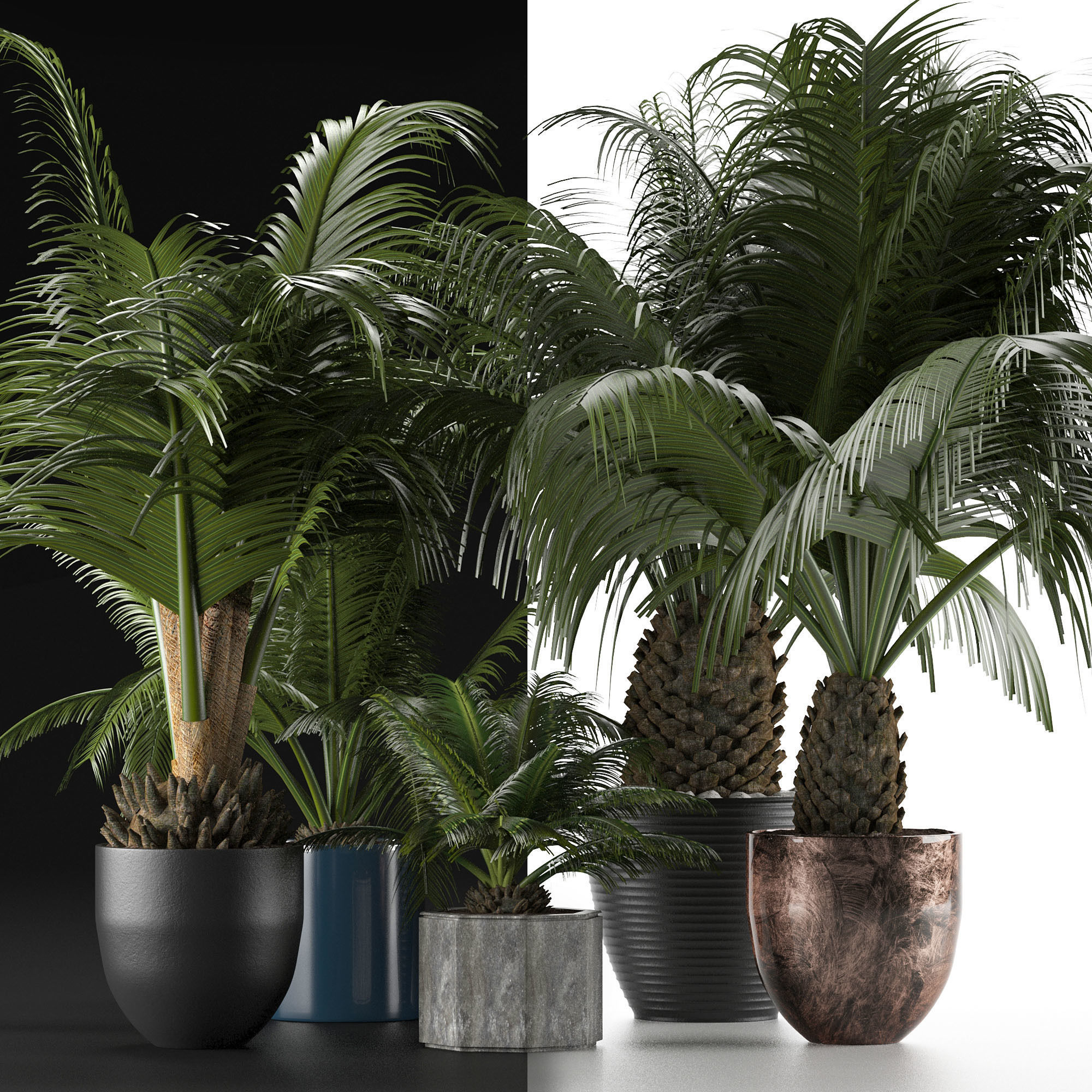 Plants Collection 16 3D model_5
