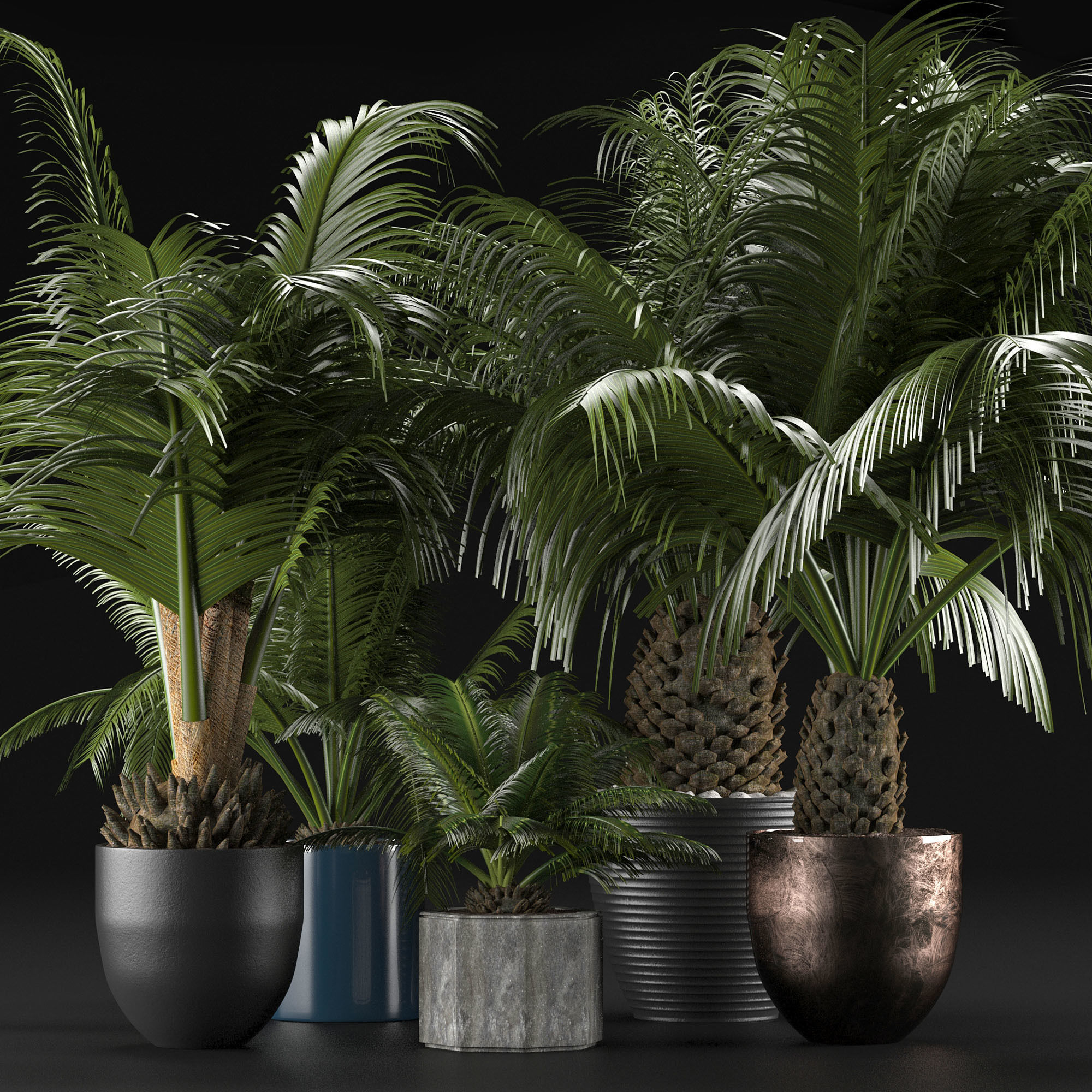 Plants Collection 16 3D model_1