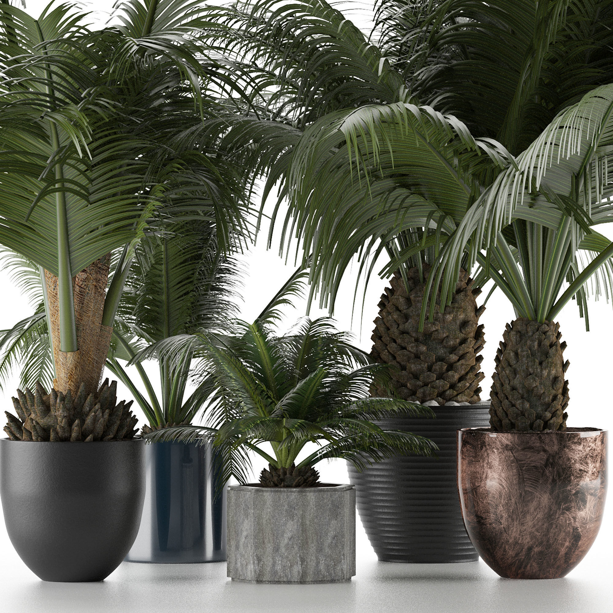 Plants Collection 16 3D model_3