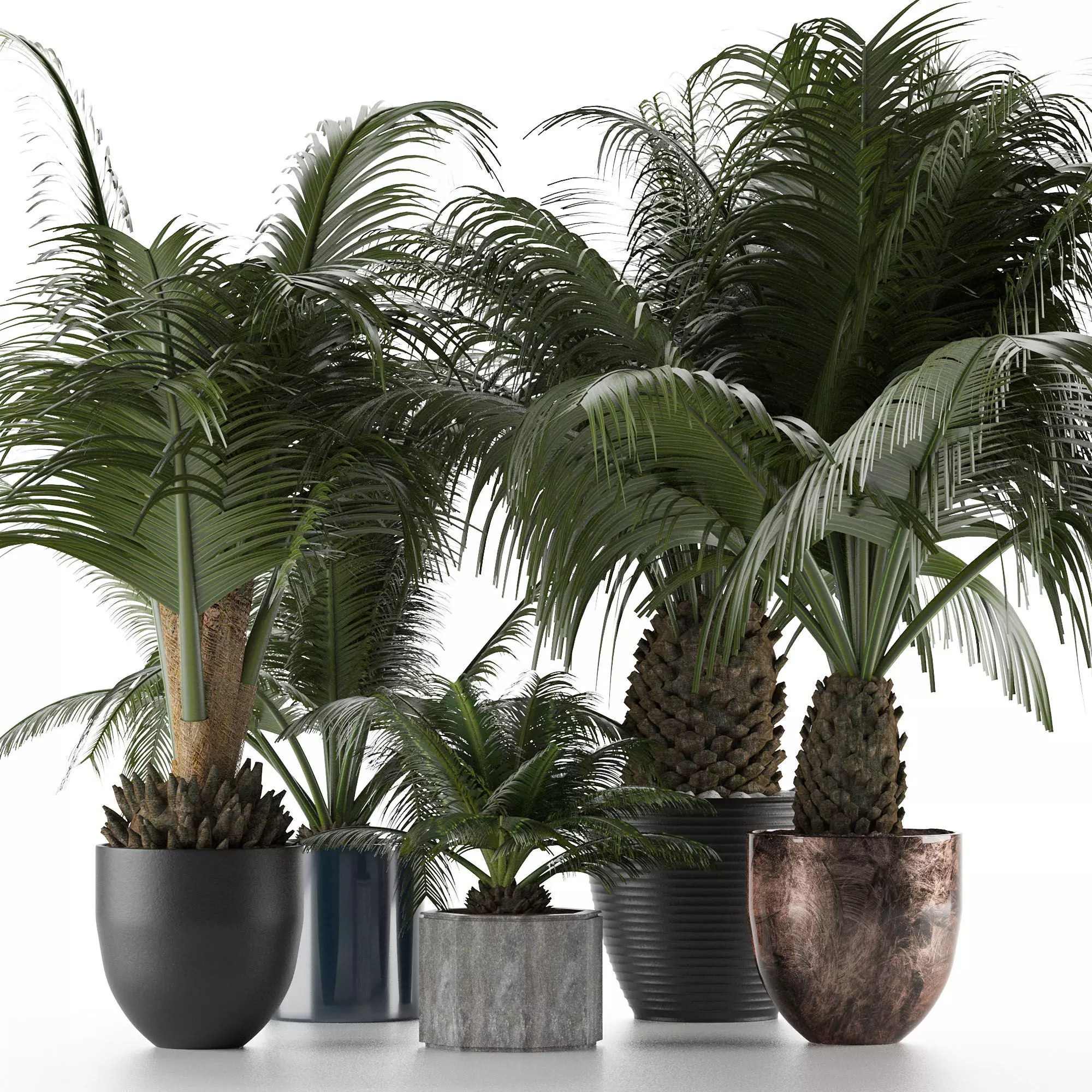 Plants Collection 16 3D model_0