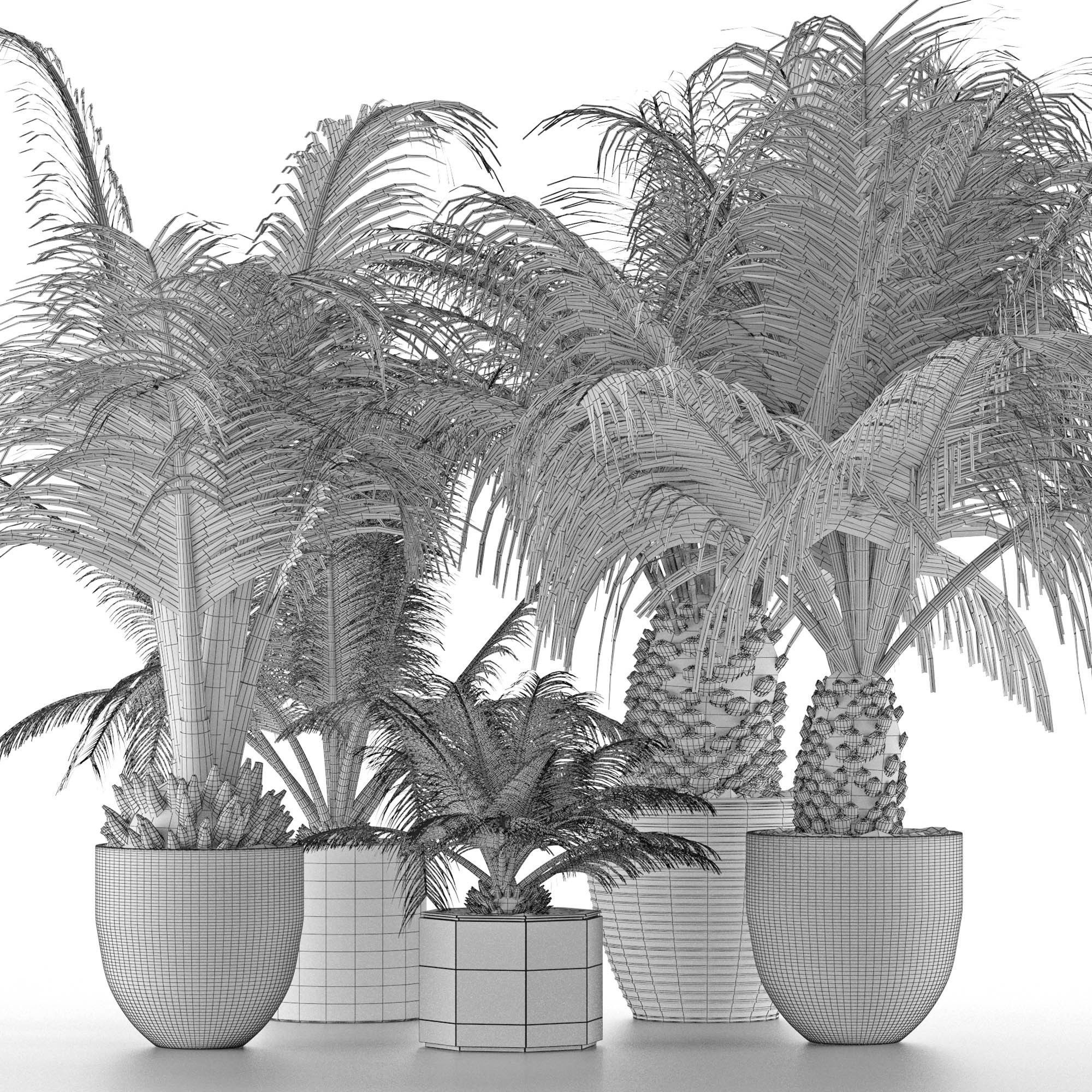 Plants Collection 16 3D model_4