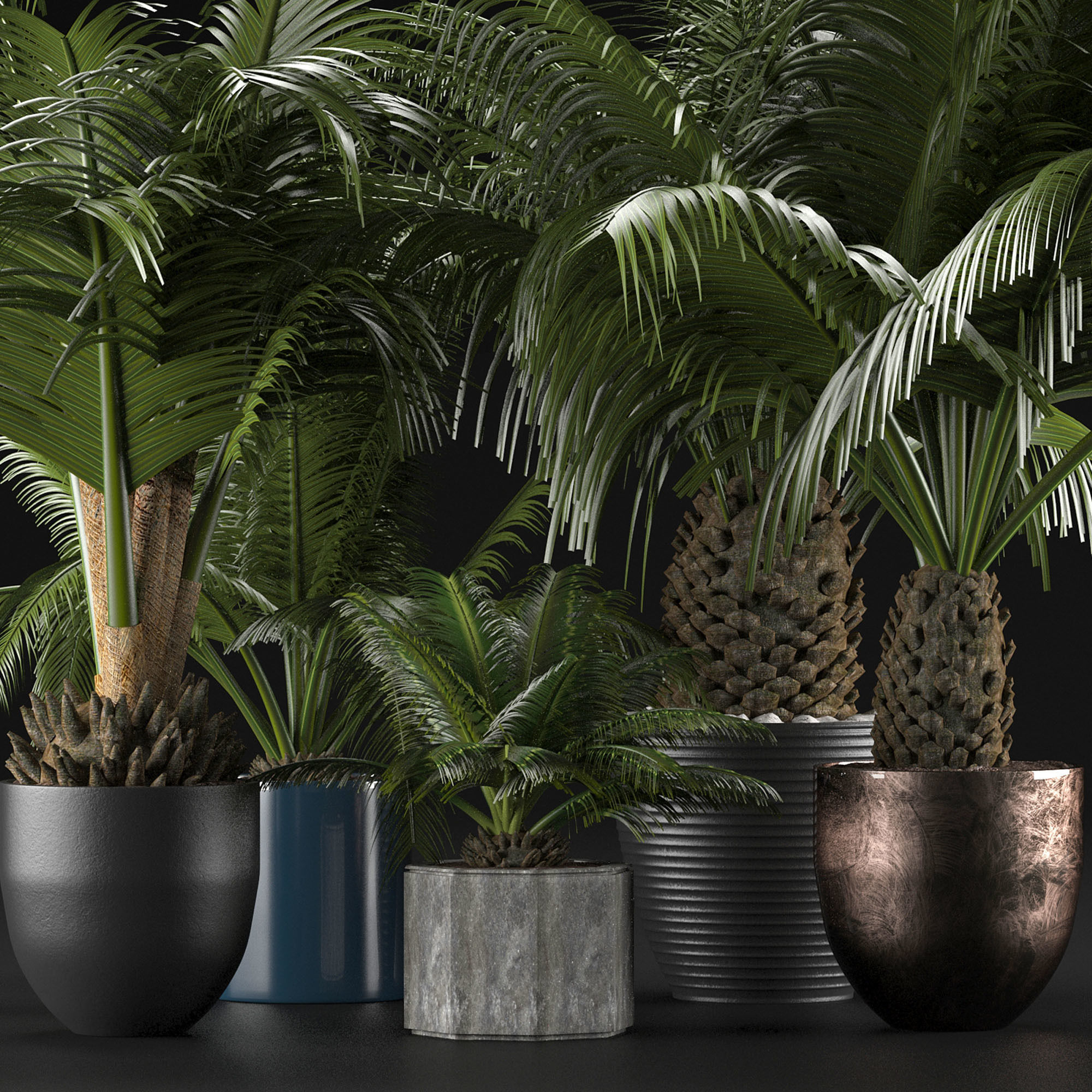 Plants Collection 16 3D model_2