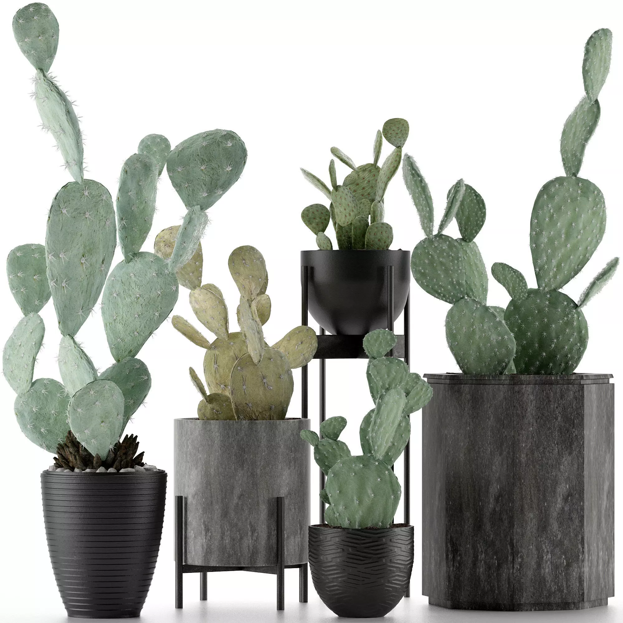 Plants Collection 17 3D model_0