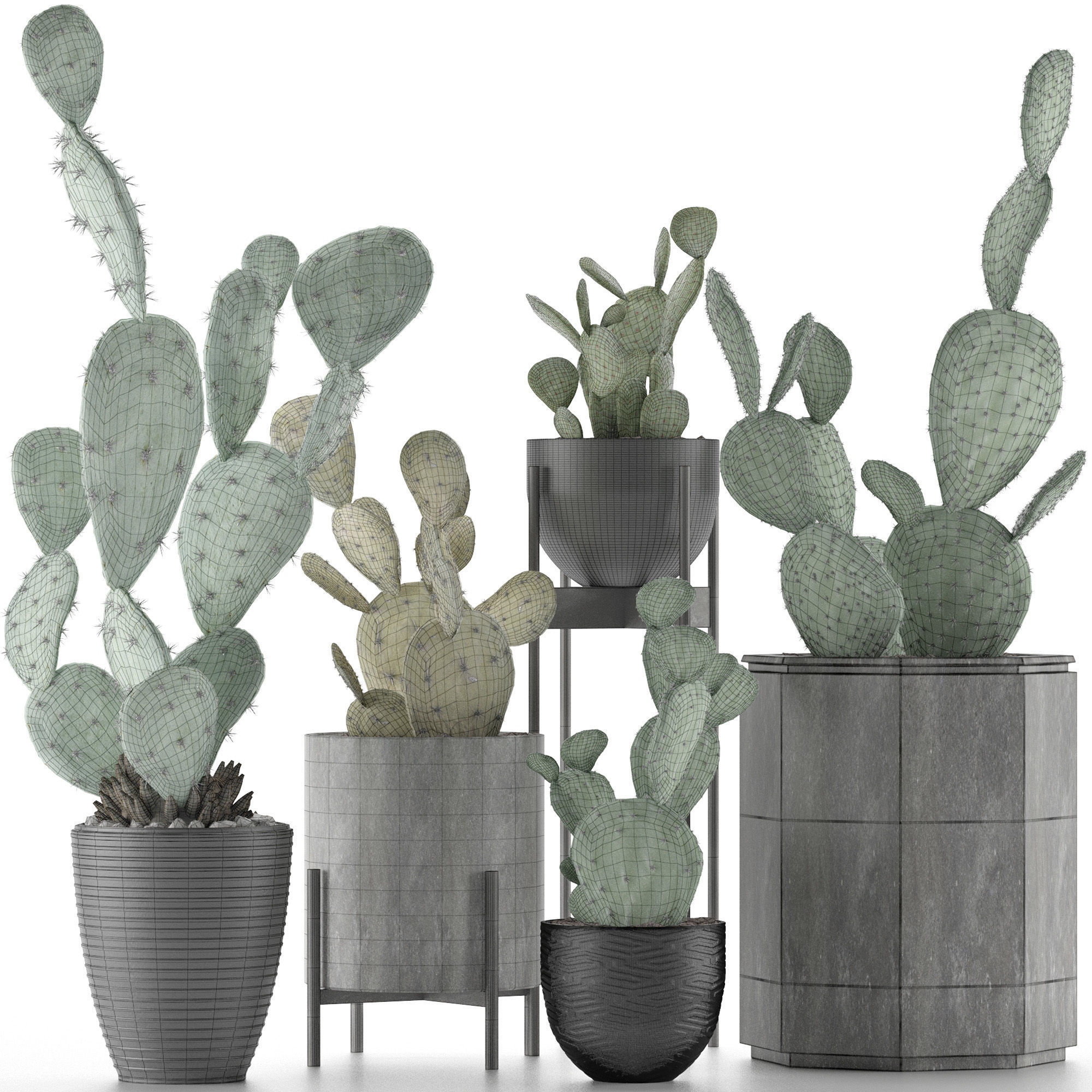 Plants Collection 17 3D model_6