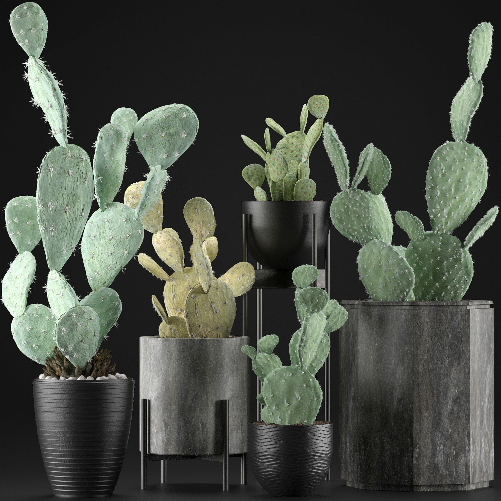 Plants Collection 17 3D model_2